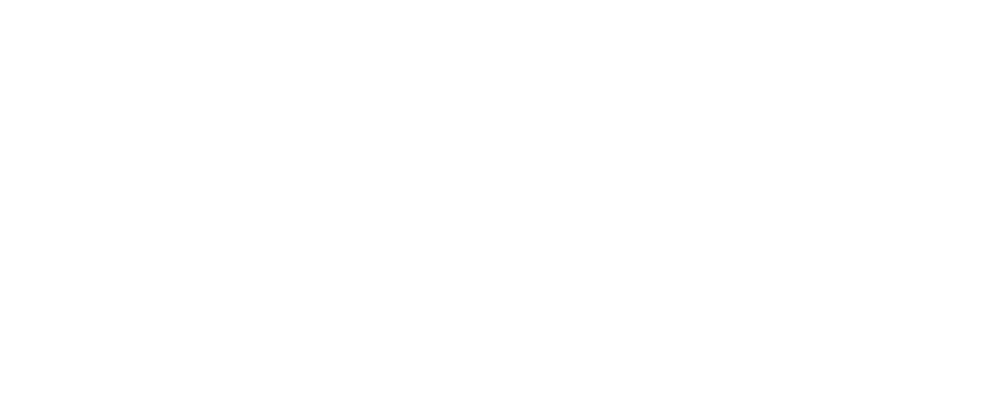 Logo Bono Turístico La Palma 2025